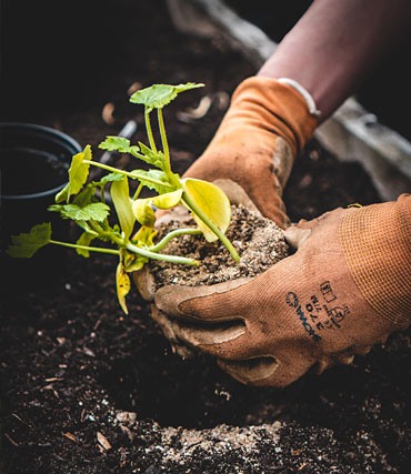 Quality gardening services